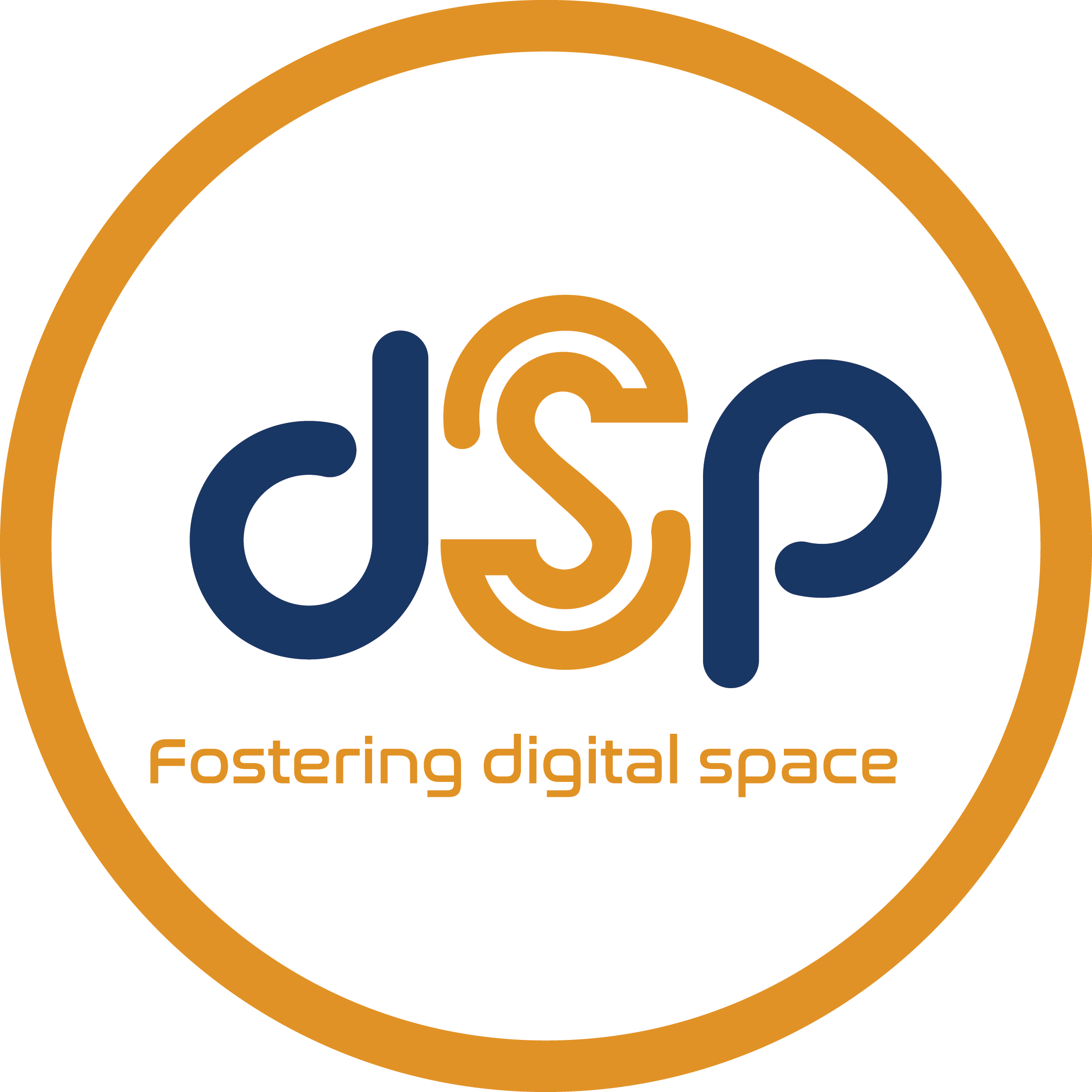 DSP Africa Ltd Logo